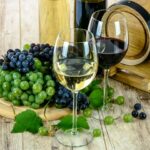 Víno - vznik a história vína